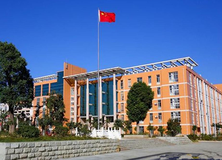 鼓励孩子在探索中成长